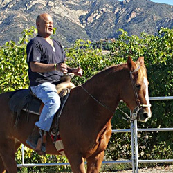 Veteran PTSD therapy with horses in Santa Barbara